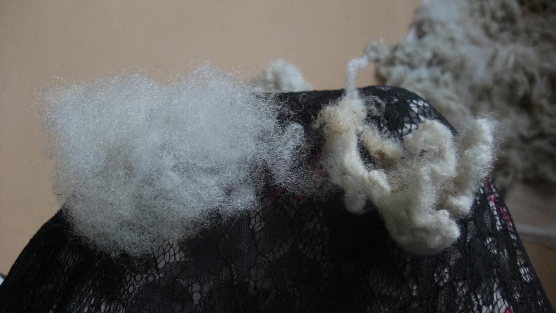 Breaking wool apart